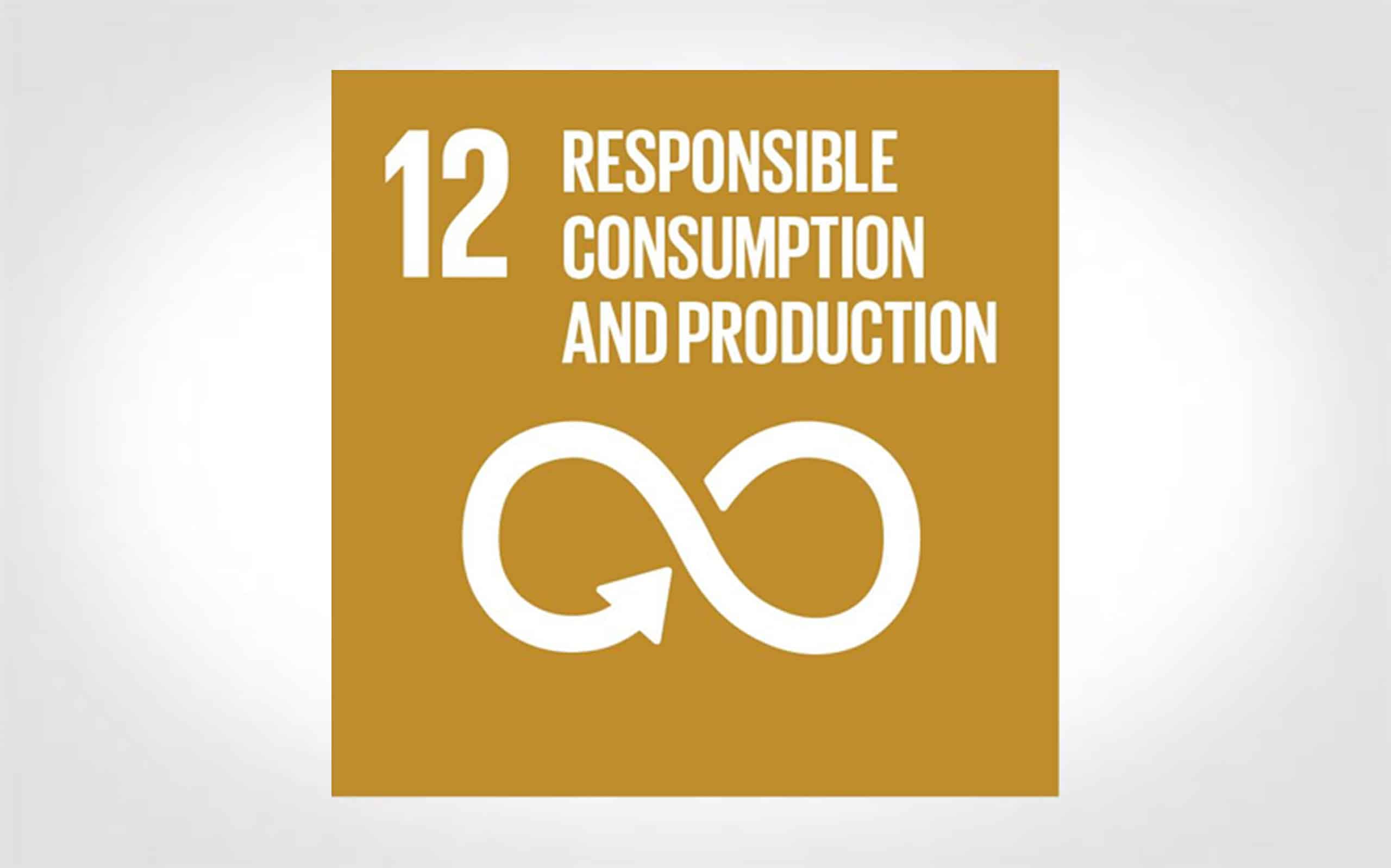 SDG 12: Responsible Production