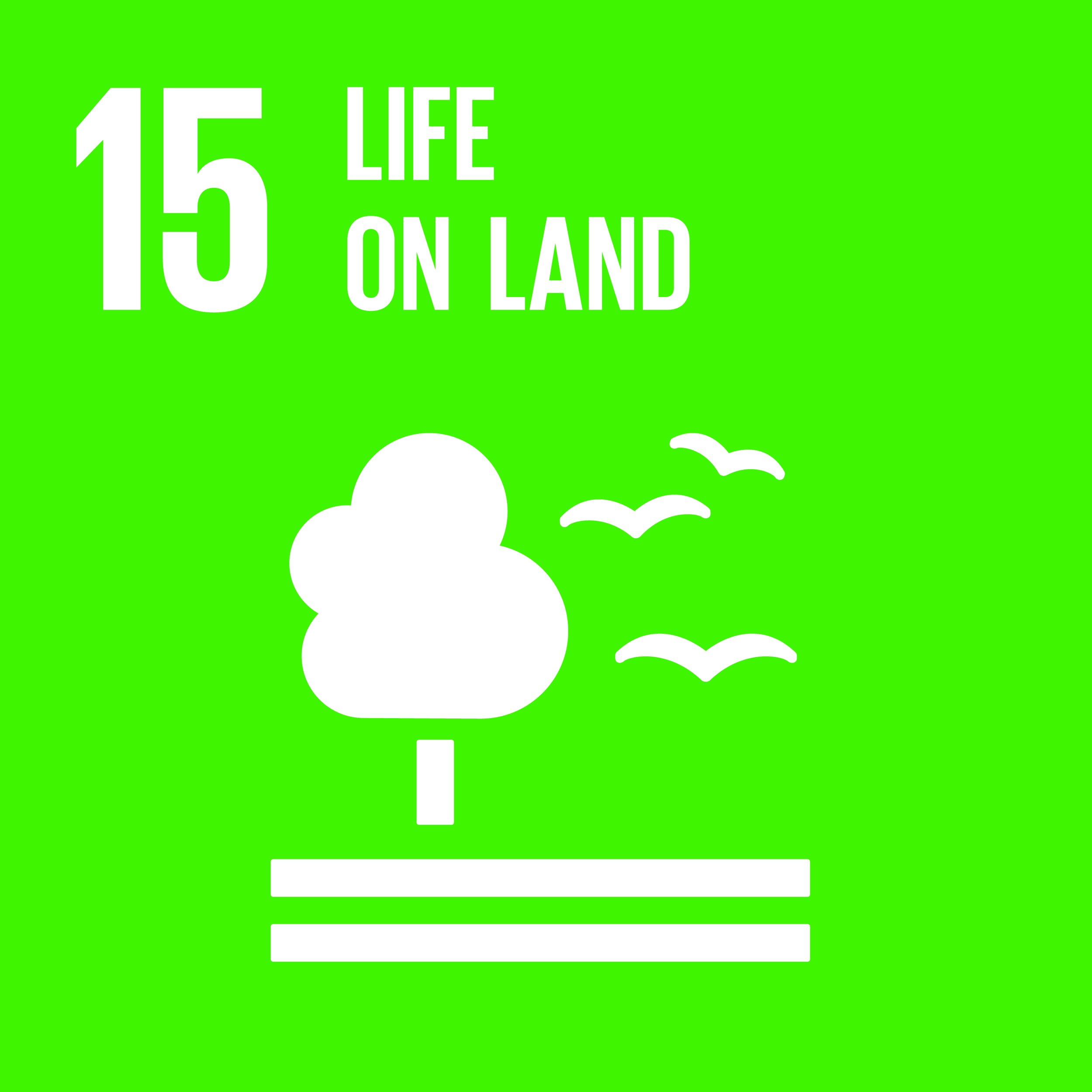 SDG 15: Life on Land
